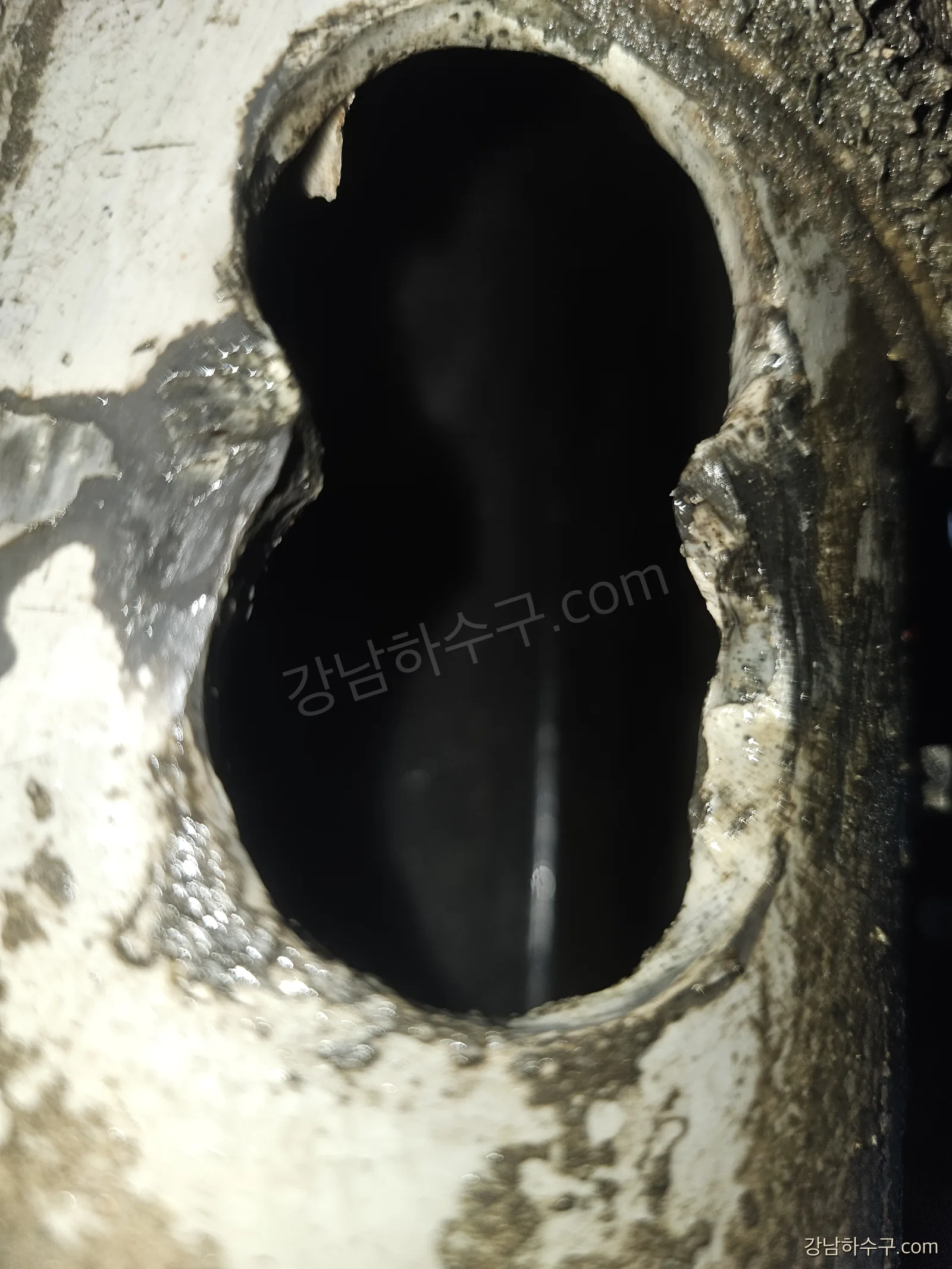 기름때로 막힌 오수관 단면 — 시공 현장 촬영